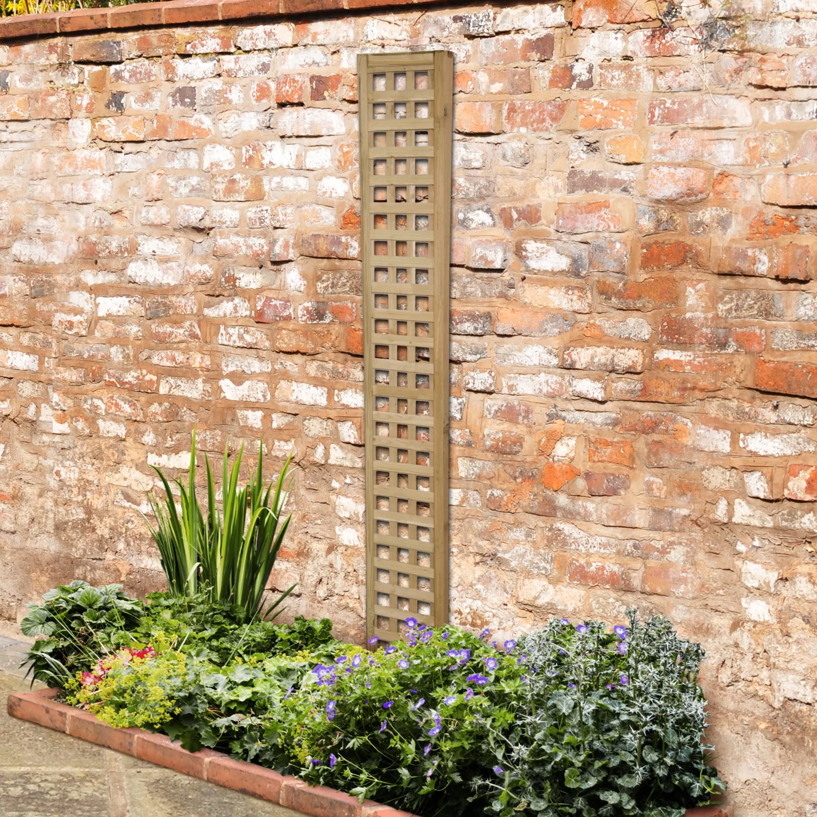 Premium Framed Trellis – 180x30cm