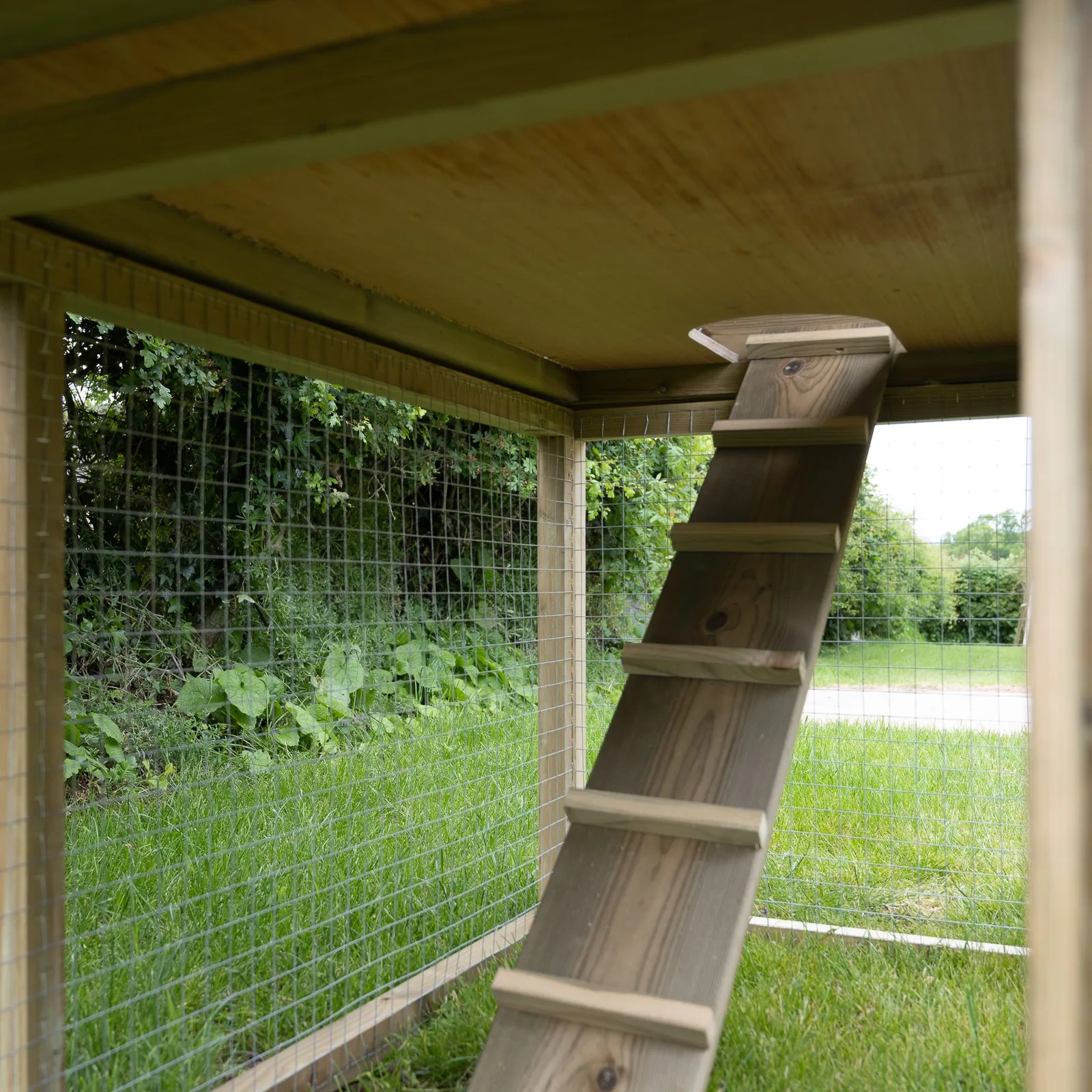 Rabbit Hutch — view 3 of 23