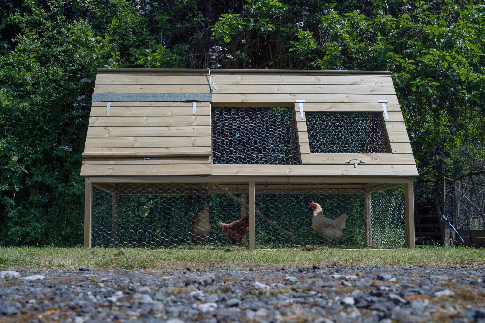 Large Raised Chicken Coop — view 2 of 26