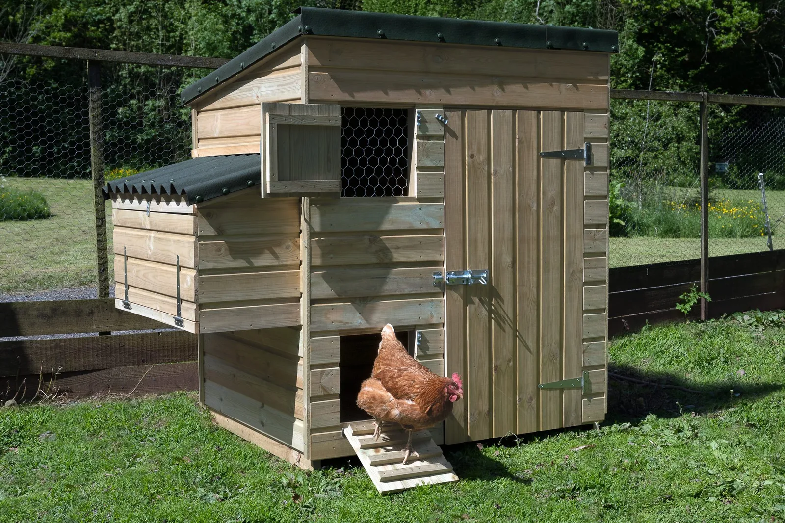 Large Hen House