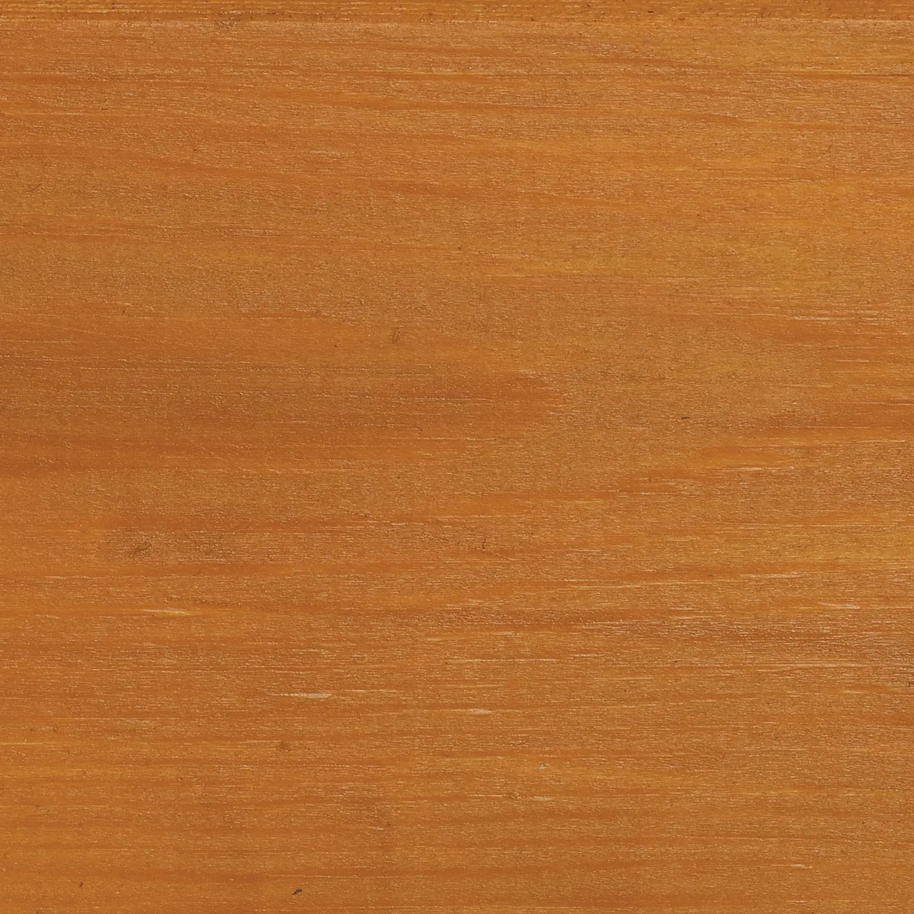 Protek Products Gold - Wood Stain & Protect — view 2 of 2