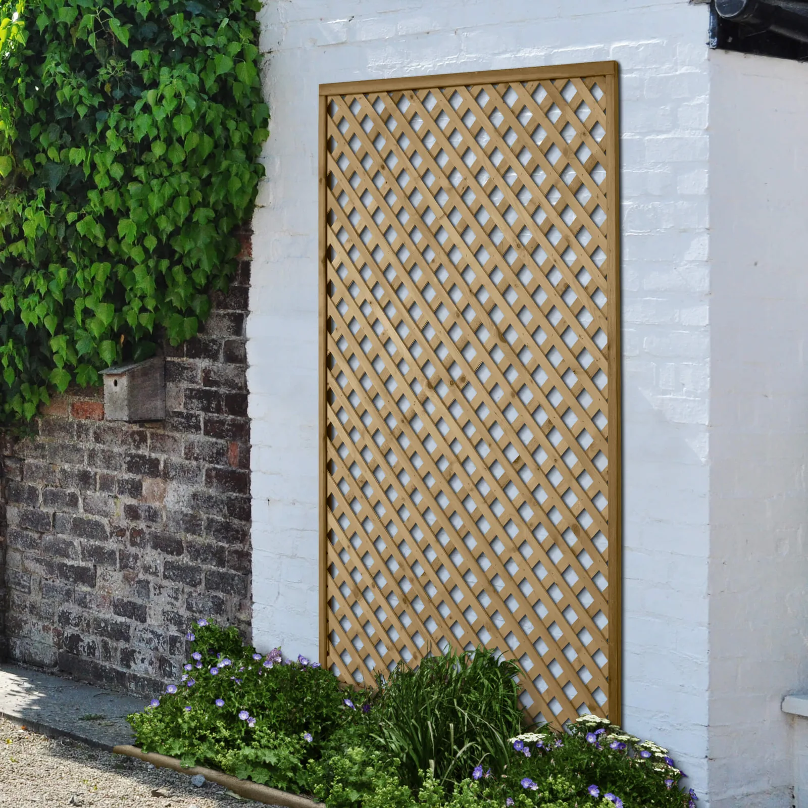 Rosemore Lattice – 180 x 120cm