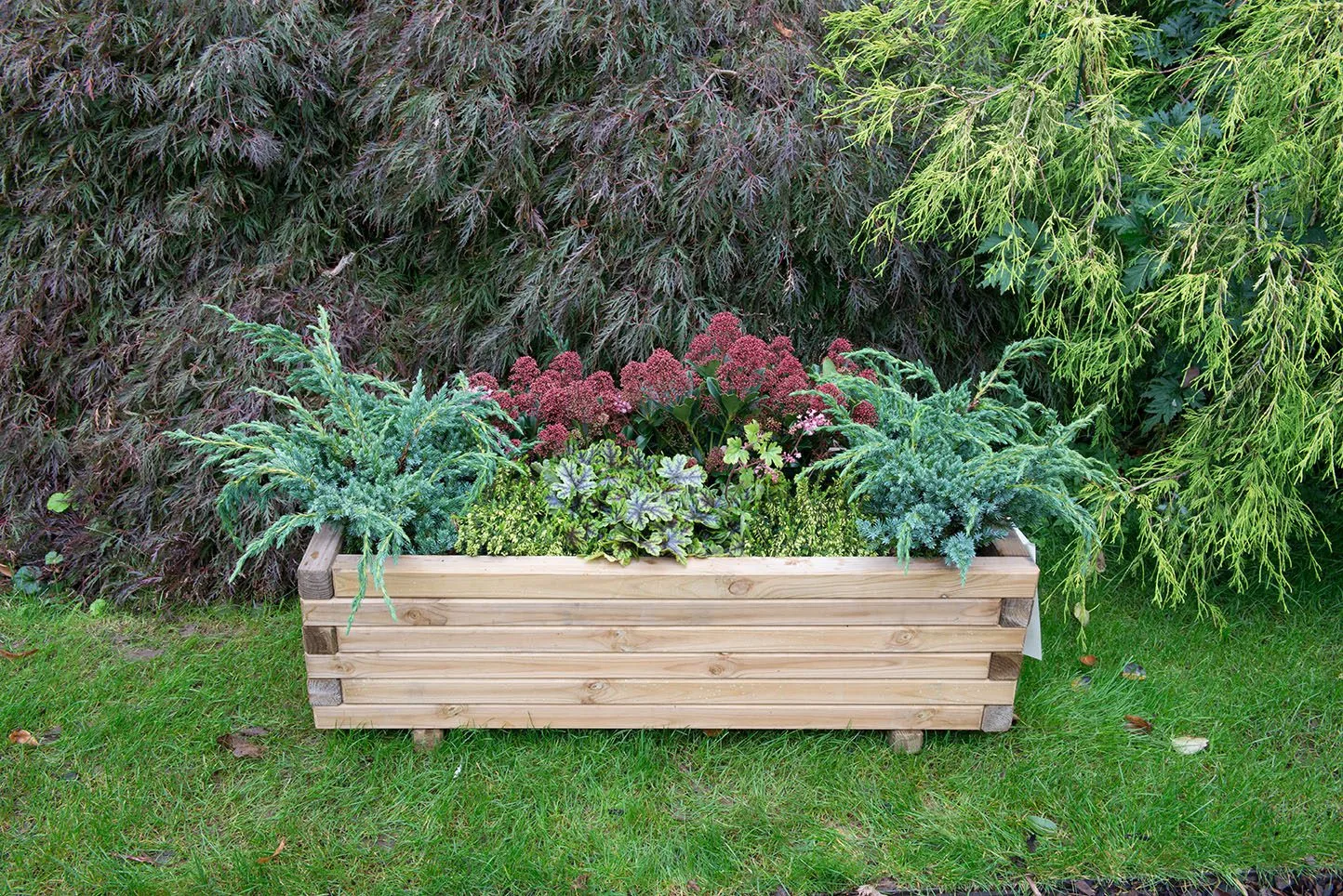 Agen Planter — view 2 of 2