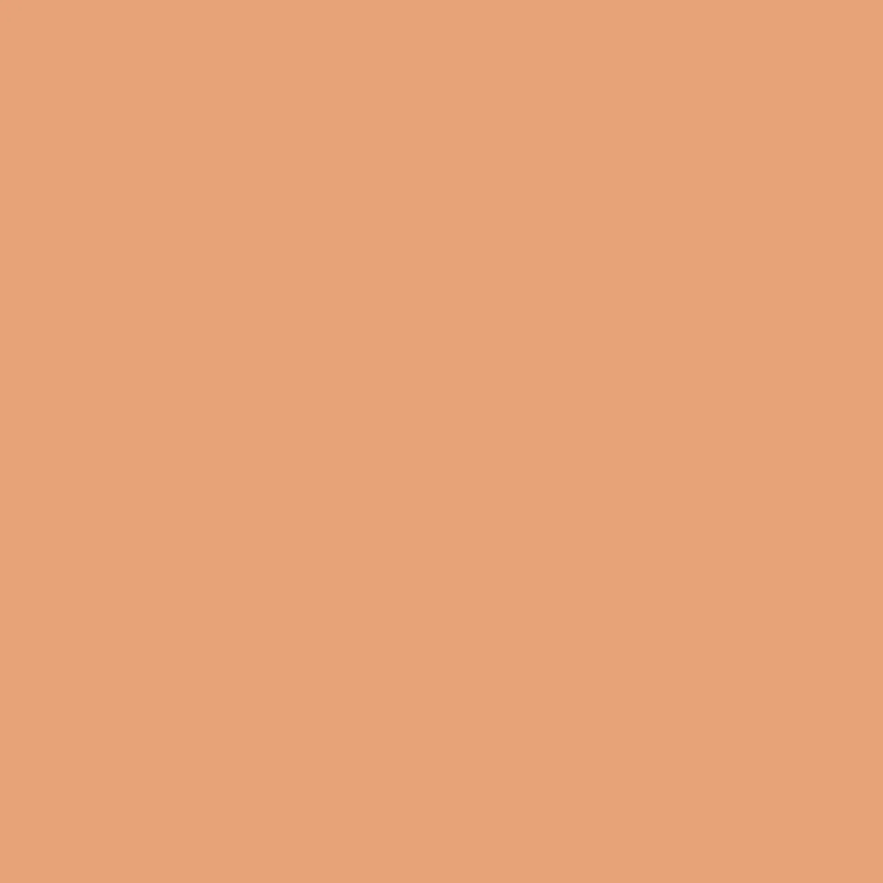 Protek Products Biscuit - Wood Stain & Protect — view 2 of 2