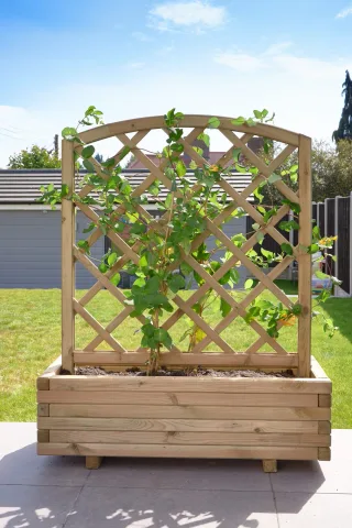 Toulouse Planter