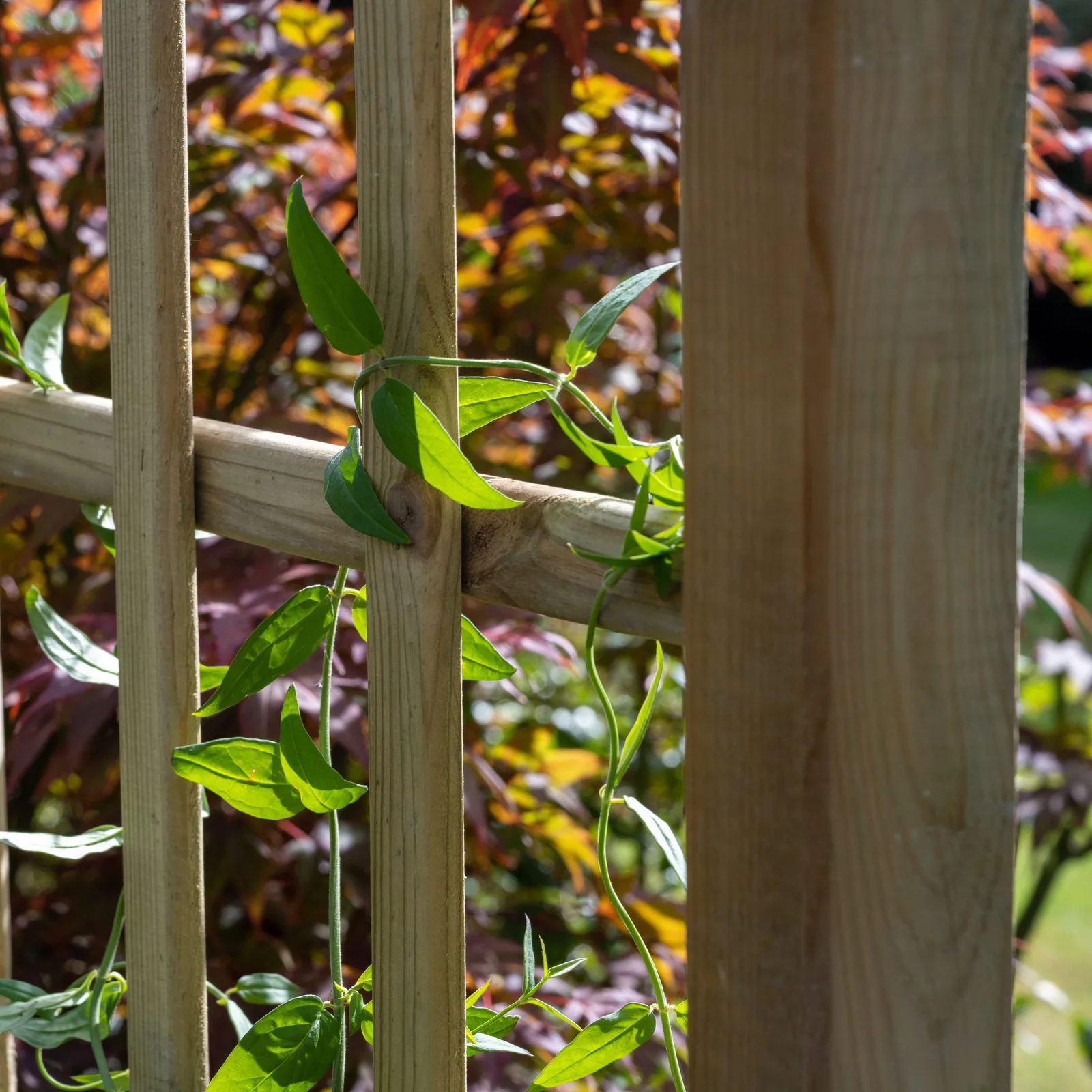 Classic Flat Top Arch — view 3 of 6