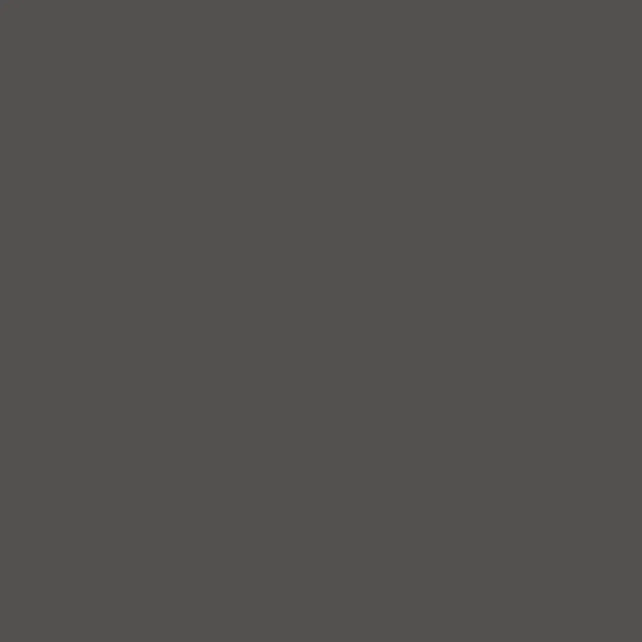 Protek Products Charcoal - Wood Stain & Protect — view 2 of 2