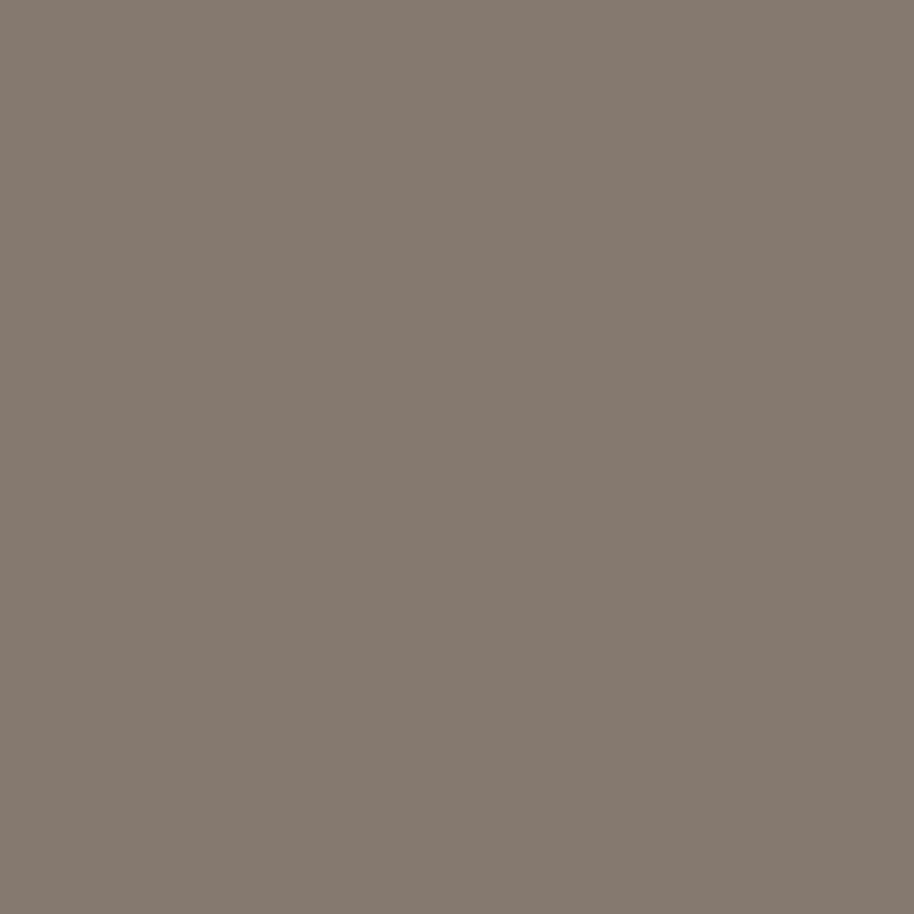 Protek Products Warm Grey - Wood Stain & Protect — view 2 of 2
