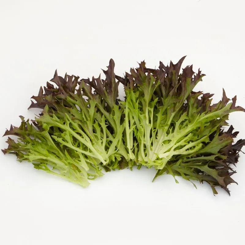 Mr Fothergills Lettuce Classico — view 2 of 2