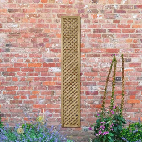 Wisley Lattice – 180 x 30cm