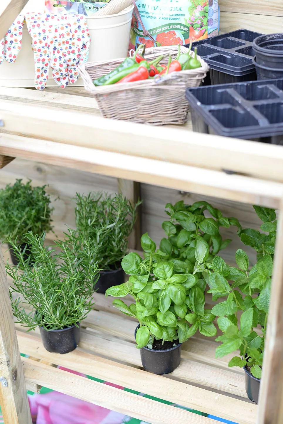 Mini Greenhouse — view 3 of 5