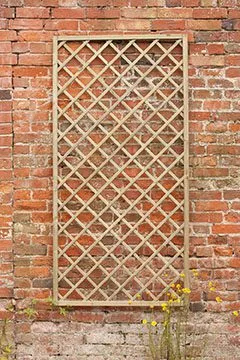 Hidcote Lattice – 180 x 90cm — view 2 of 6