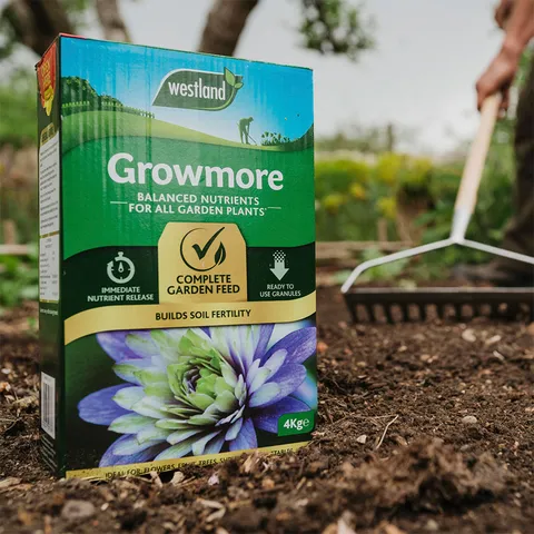 Westland Westland Growmore Plant Food - 4kg