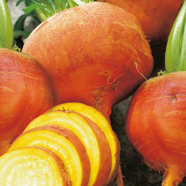 Mr Fothergills Beetroot Burpees Golden — view 3 of 3