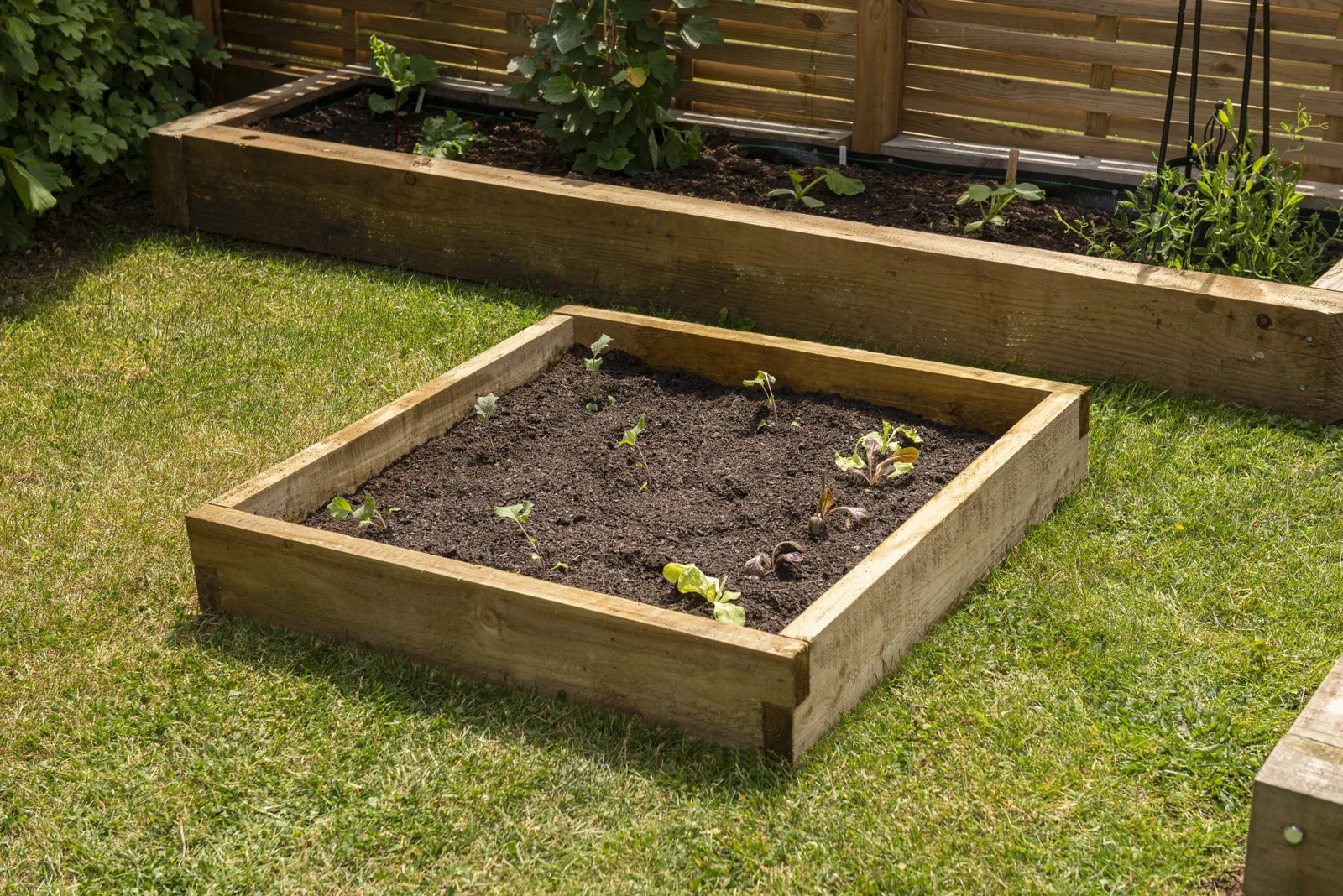 Caledonian Compact Raised Bed – 90 x 90cm — view 2 of 8