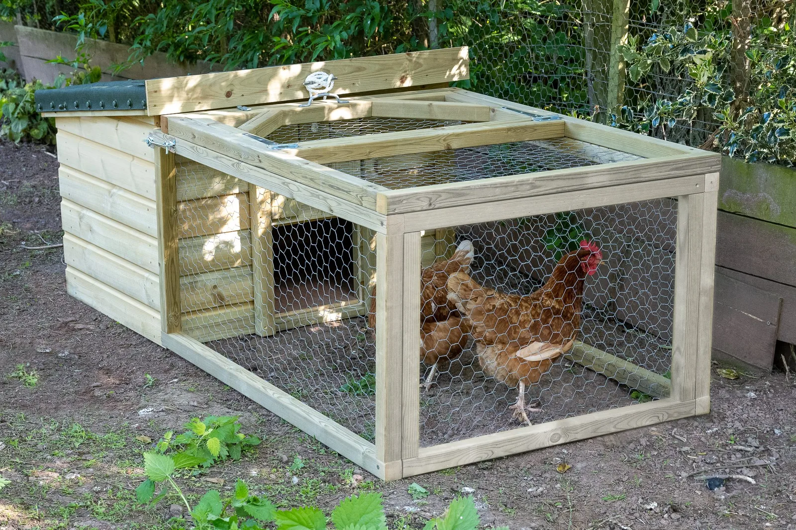 Chicken Coop and Run — view 2 of 23