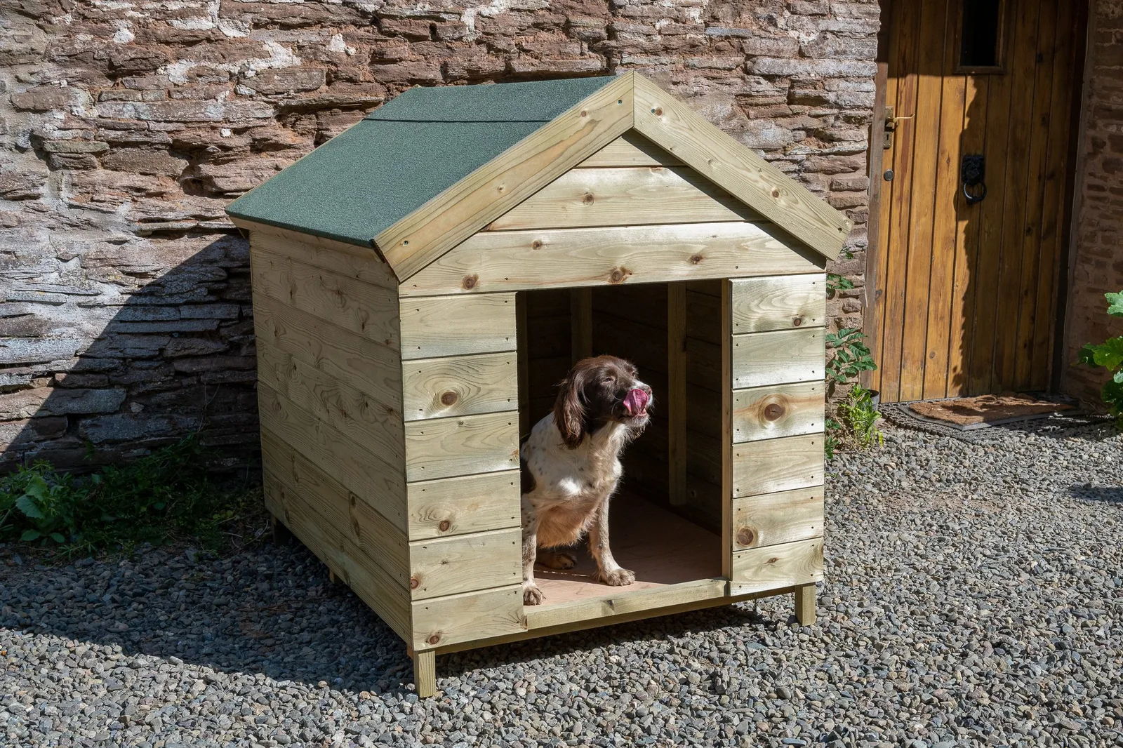 Dog Kennel — view 3 of 8