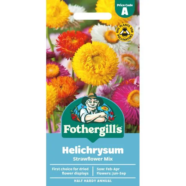 Mr Fothergills Helichrysum Strawflower Seeds
