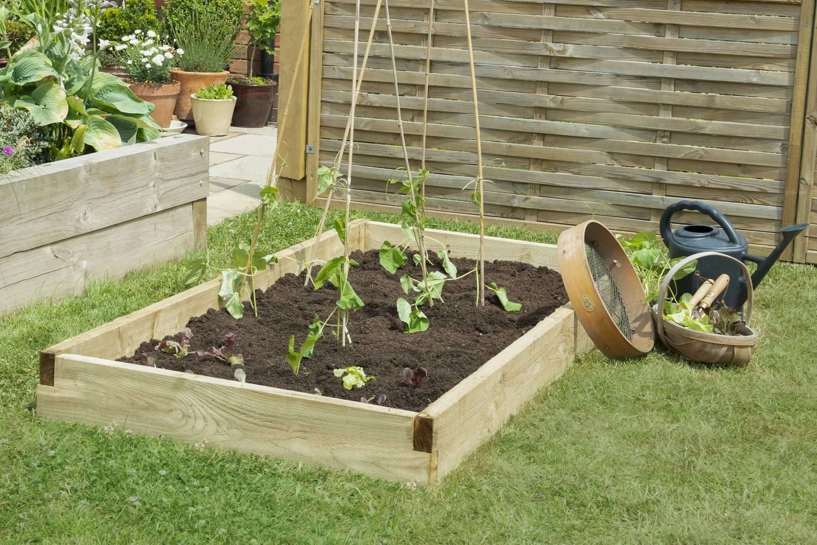 Caledonian Large Raised Bed – 90 x 180cm — view 2 of 7