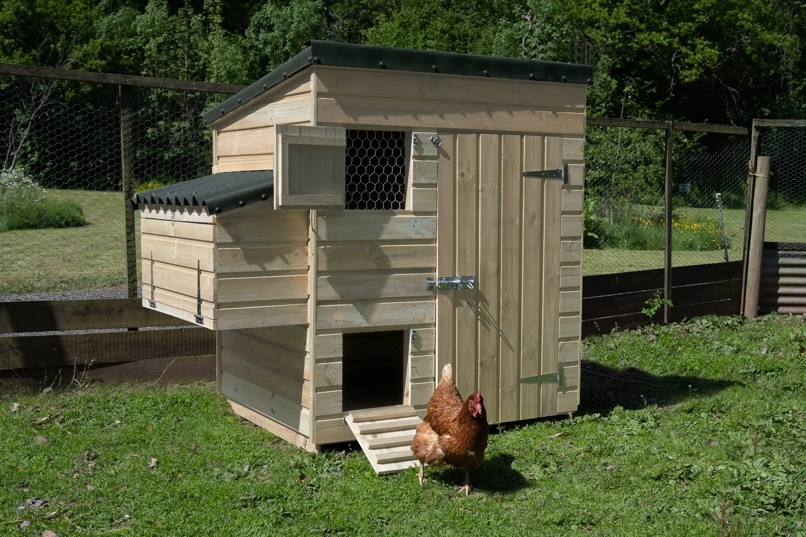 Large Hen House — view 2 of 21