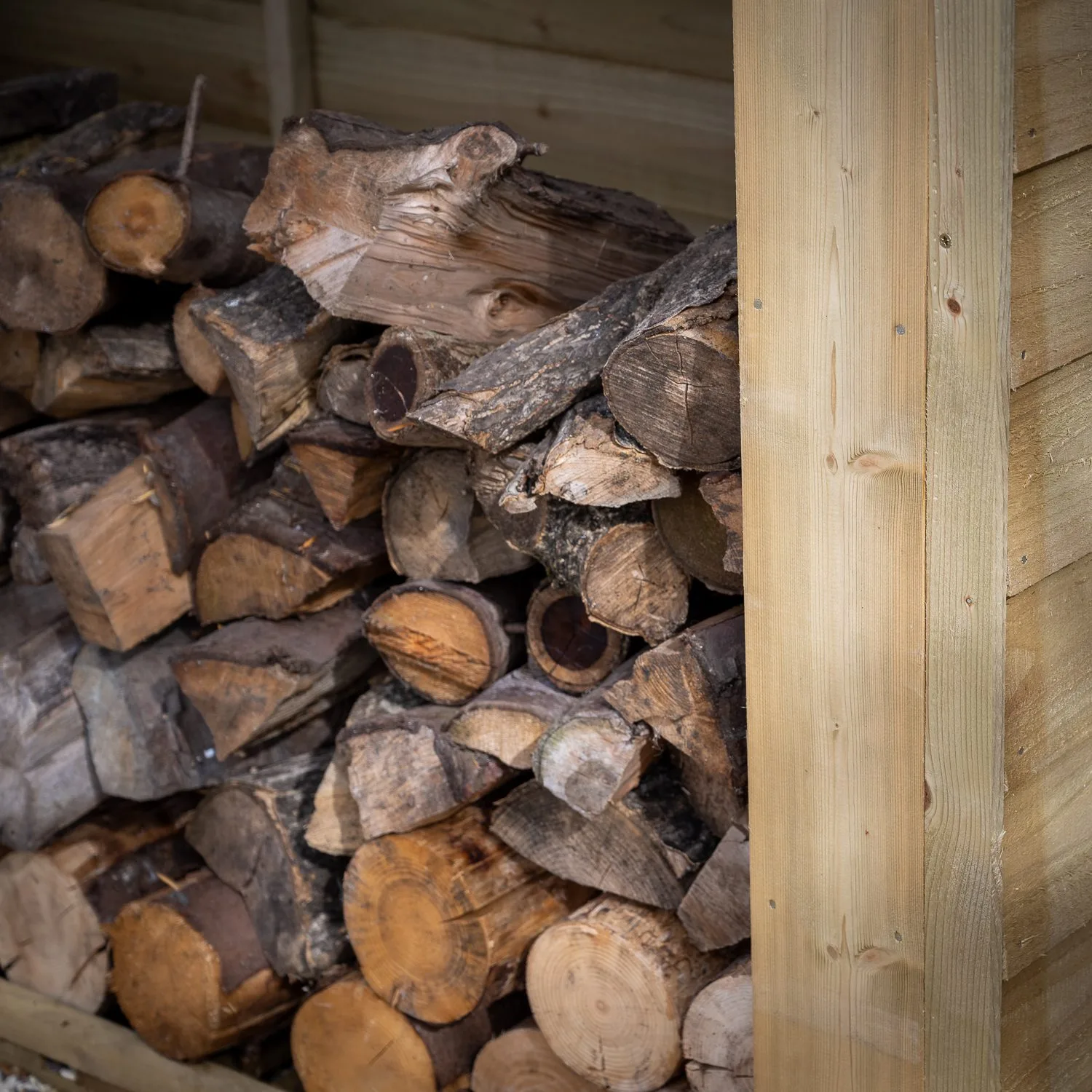 Overlap Apex Log Store — view 3 of 9