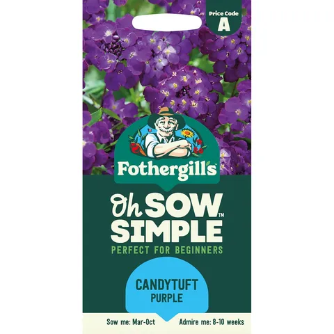 Mr Fothergills Oh Sow Simple - Candytuft Purple Rain Flower Seeds