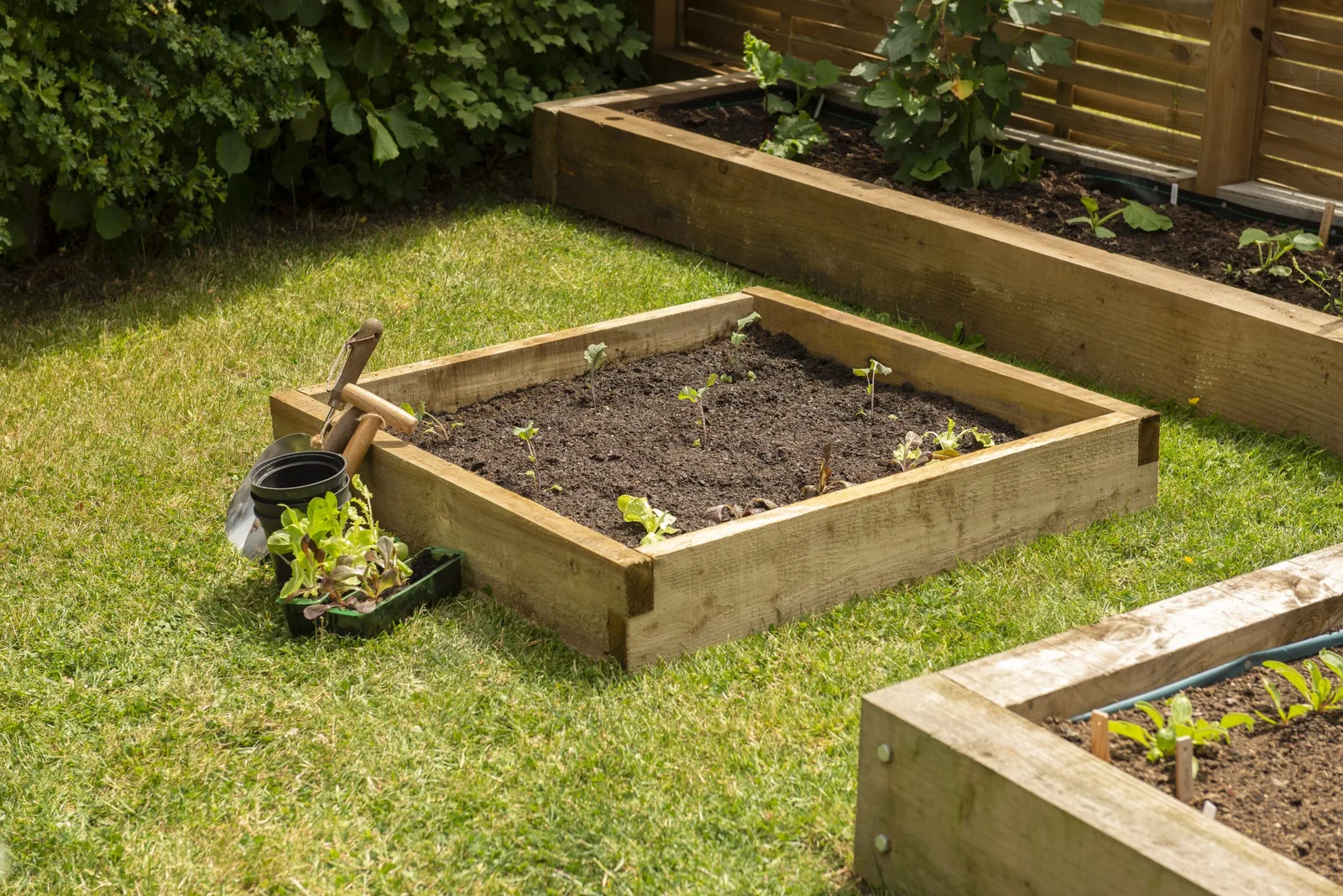 Caledonian Compact Raised Bed – 90 x 90cm — view 3 of 8