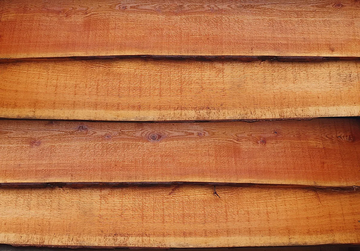 Timbco Sawn Waney Edge (per m2) — view 3 of 3
