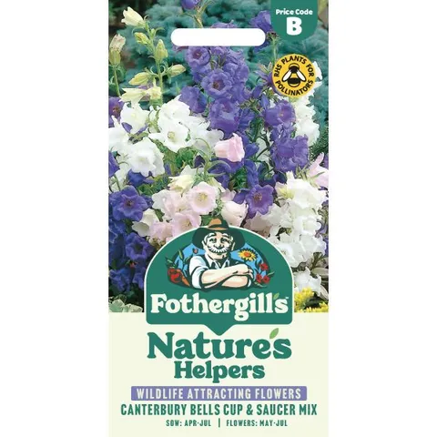 Mr Fothergills Canterbury Bells Cup & Saucers Seeds