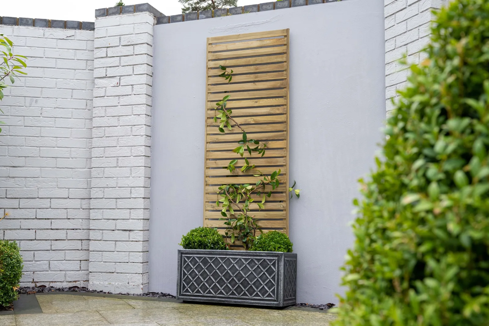 Slatted Trellis 180 x 60cm