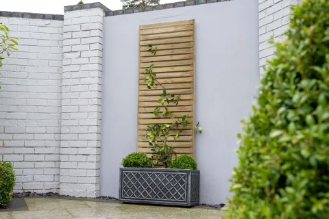 Slatted Trellis 180 x 60cm