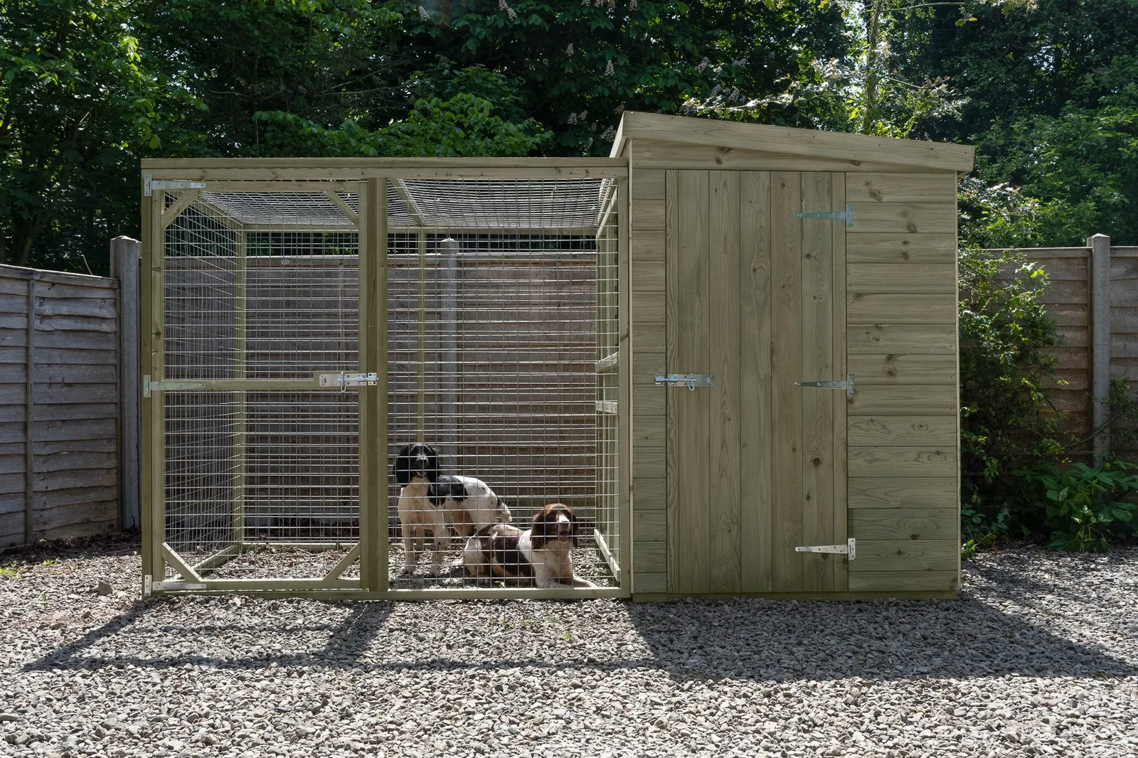 Large Dog Kennel & Run — view 2 of 22