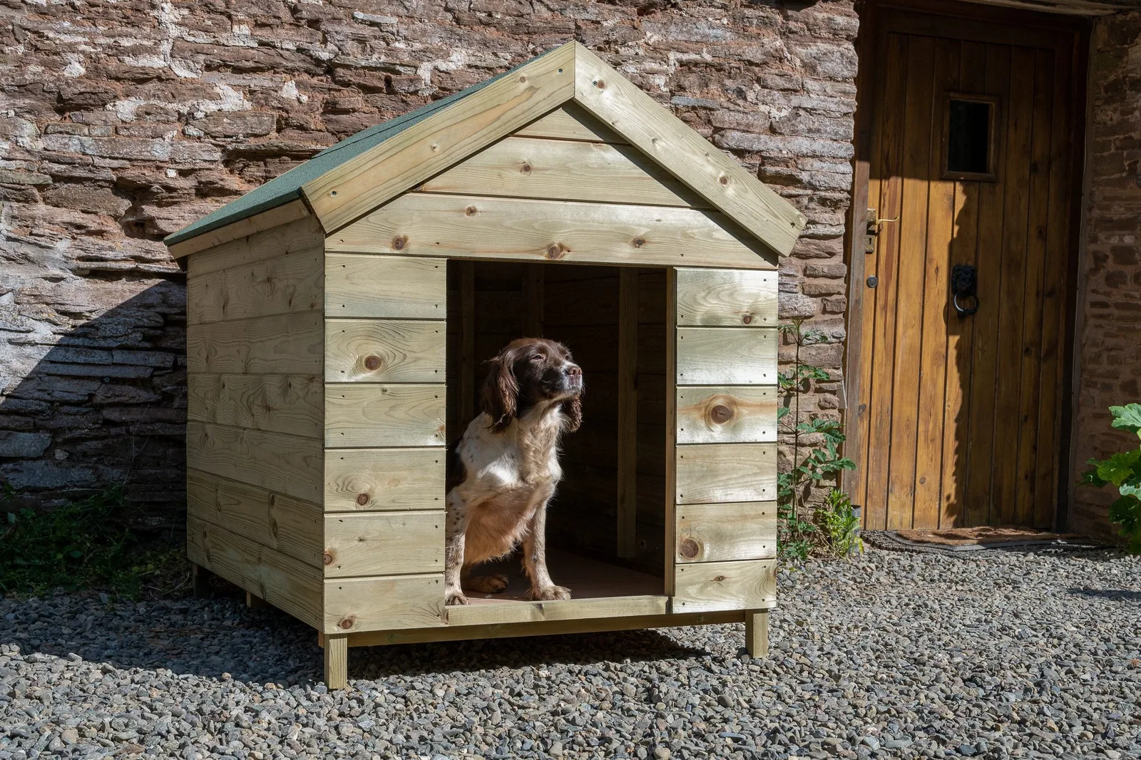 Dog Kennel — view 2 of 8