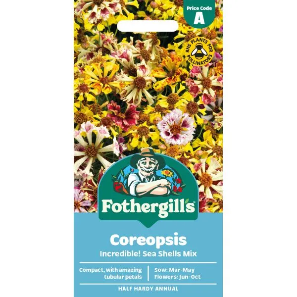 Mr Fothergills Coreopsis Incredible! Sea Shells Mix Flower Seeds