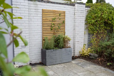 Slatted Trellis 180 x 90cm