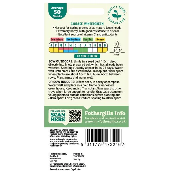Mr Fothergills Cabbage Wintergreen Vegetable Seeds — view 2 of 3