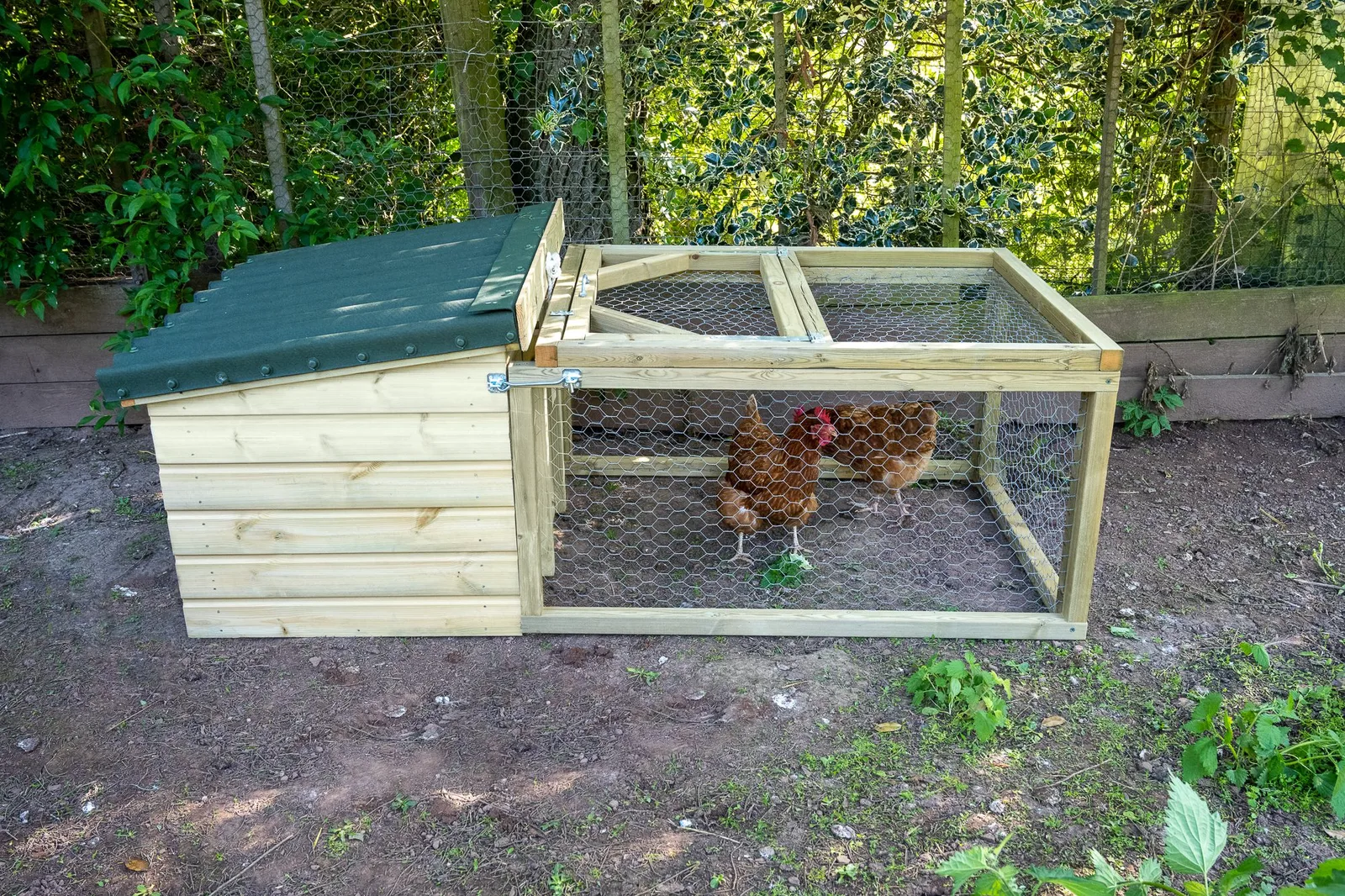 Chicken Coop and Run — view 3 of 23
