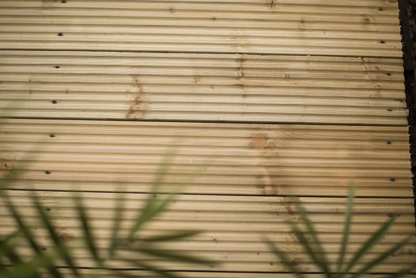 Patio Deck Board – 2.4m — view 3 of 3