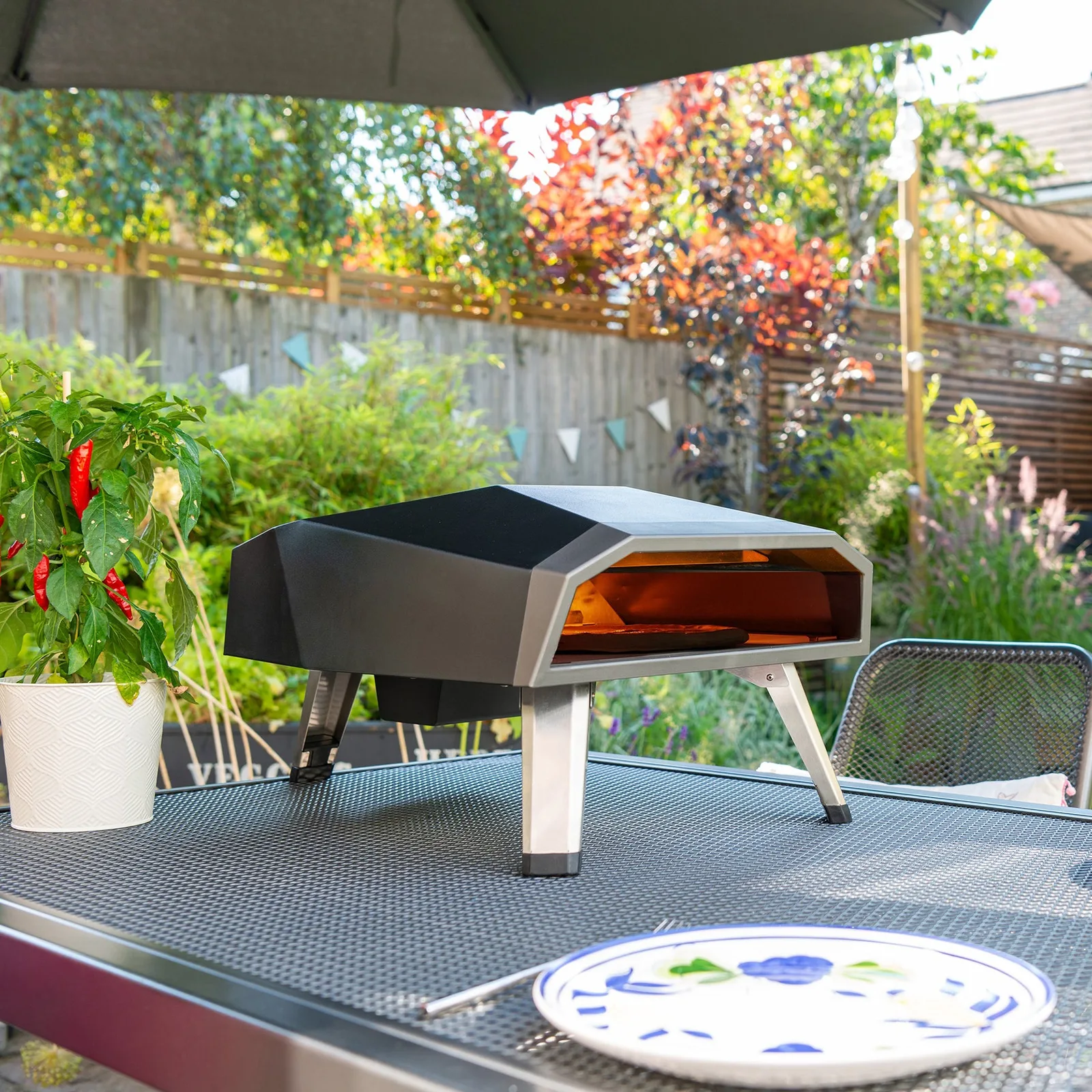 Draco Grills Draco Grills Gas Fired Outdoor Pizza Oven