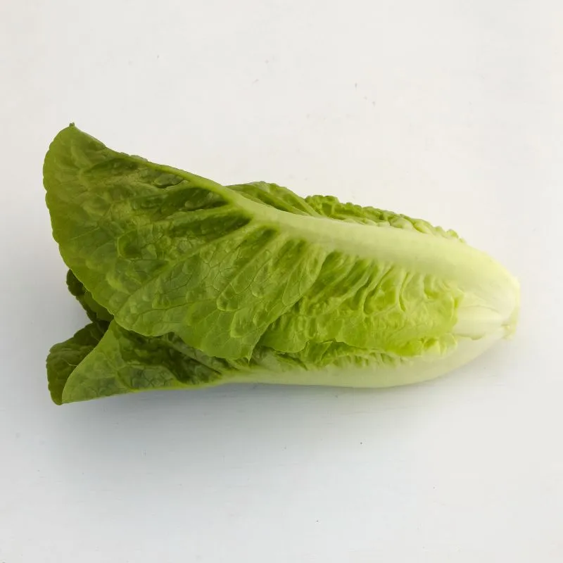 Mr Fothergills Lettuce Tamago — view 3 of 3
