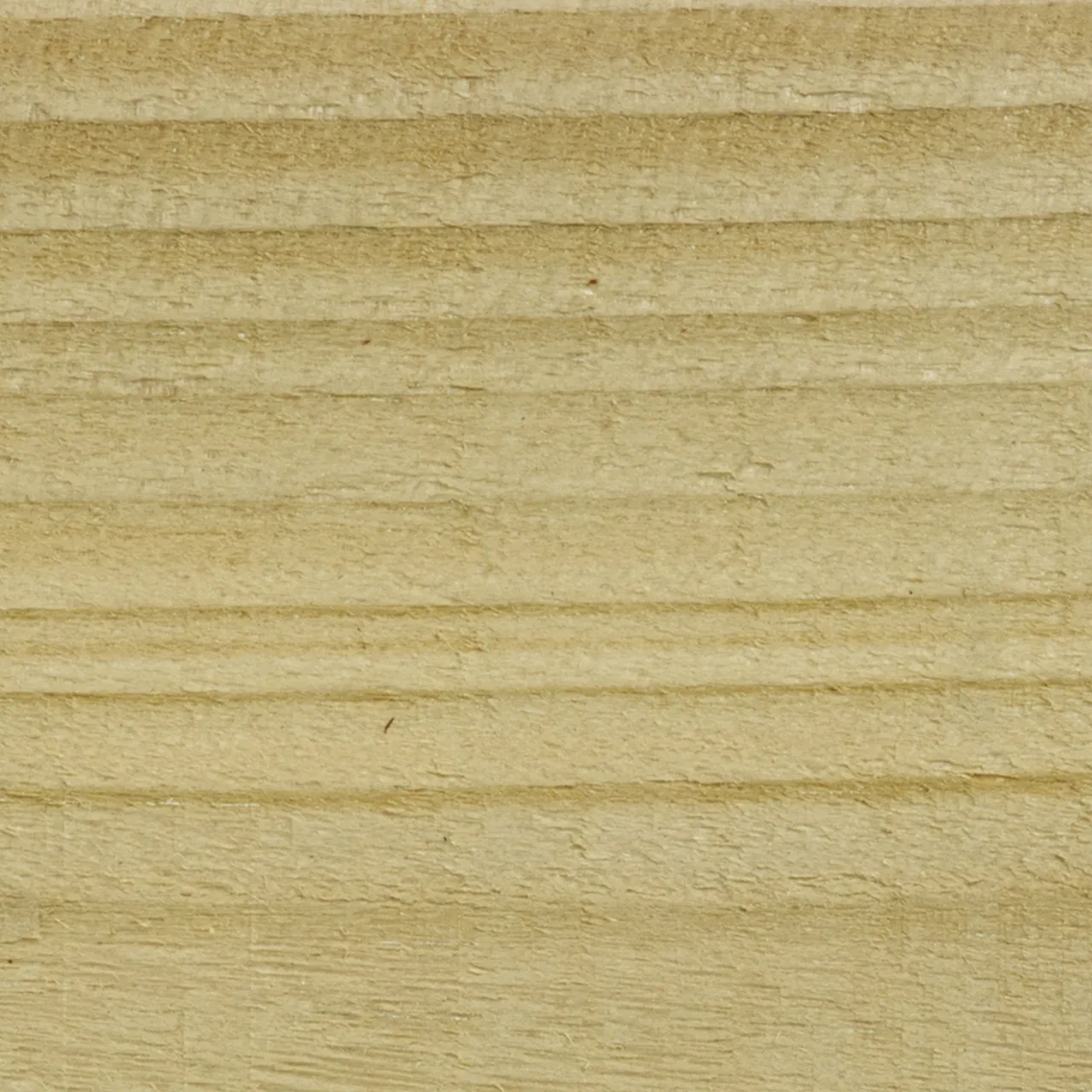 Protek Products Clear - Stable Coat Paint — view 2 of 3